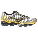 mizunowaveprophecy3dec600x600.jpg