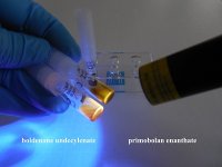 primo uv light 2 lm.jpg