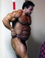 big-belly-bodybuilder.jpg