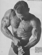 rip it b.jpg rip it b.jpg