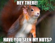 nuts2.jpg
