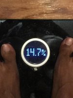 Bodyfat %.jpg