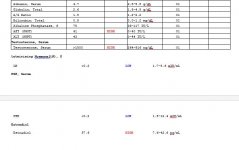 Capture77.JPG Capture77.JPG