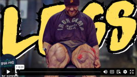 ama.png ama.png