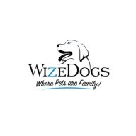 WizeDogsLabradors