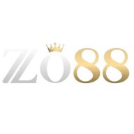 zo88arttop