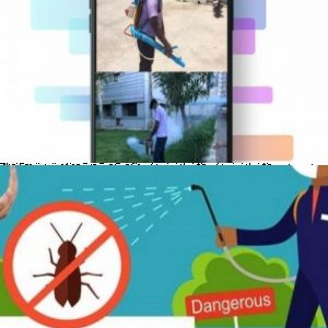 pest control in chennai