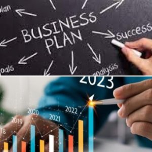 implement the company’s business strategy