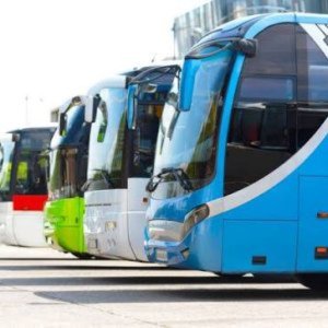 bus