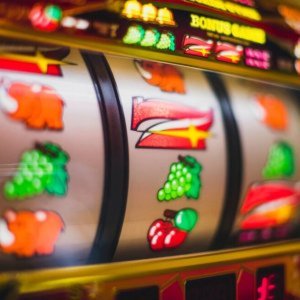 Learning Wolf Gold game at OMG gaming platform for a friendly dispute