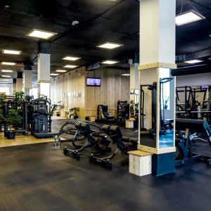 Fitness Training: A Path to a Healthier You