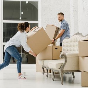 1-800-pack-rat reviews