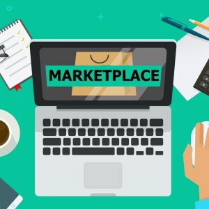 Selling on Online Marketplaces