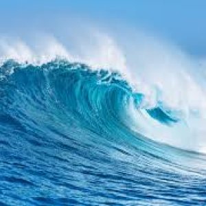 Dreaming of the Sea: Why Everyone Wants to Go to the Ocean