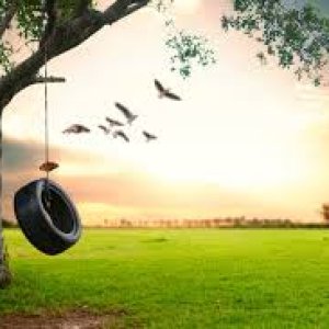 Background: Meaning and Importance