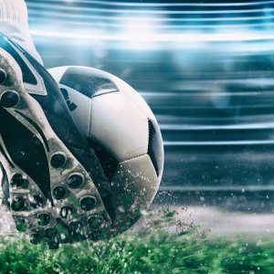 Sportzino sister sites. Which ones are the best?