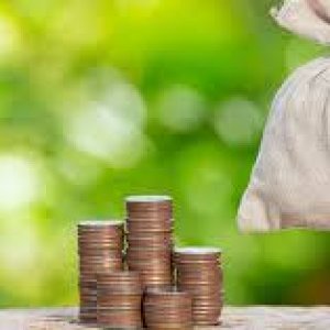 Borrowing Experience