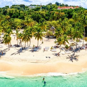 Media 'Looking for a partner in the Dominican Republic' in album 'Looking for a partner in the Dominican Republic'