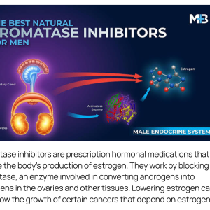 aromatase-inhibitors