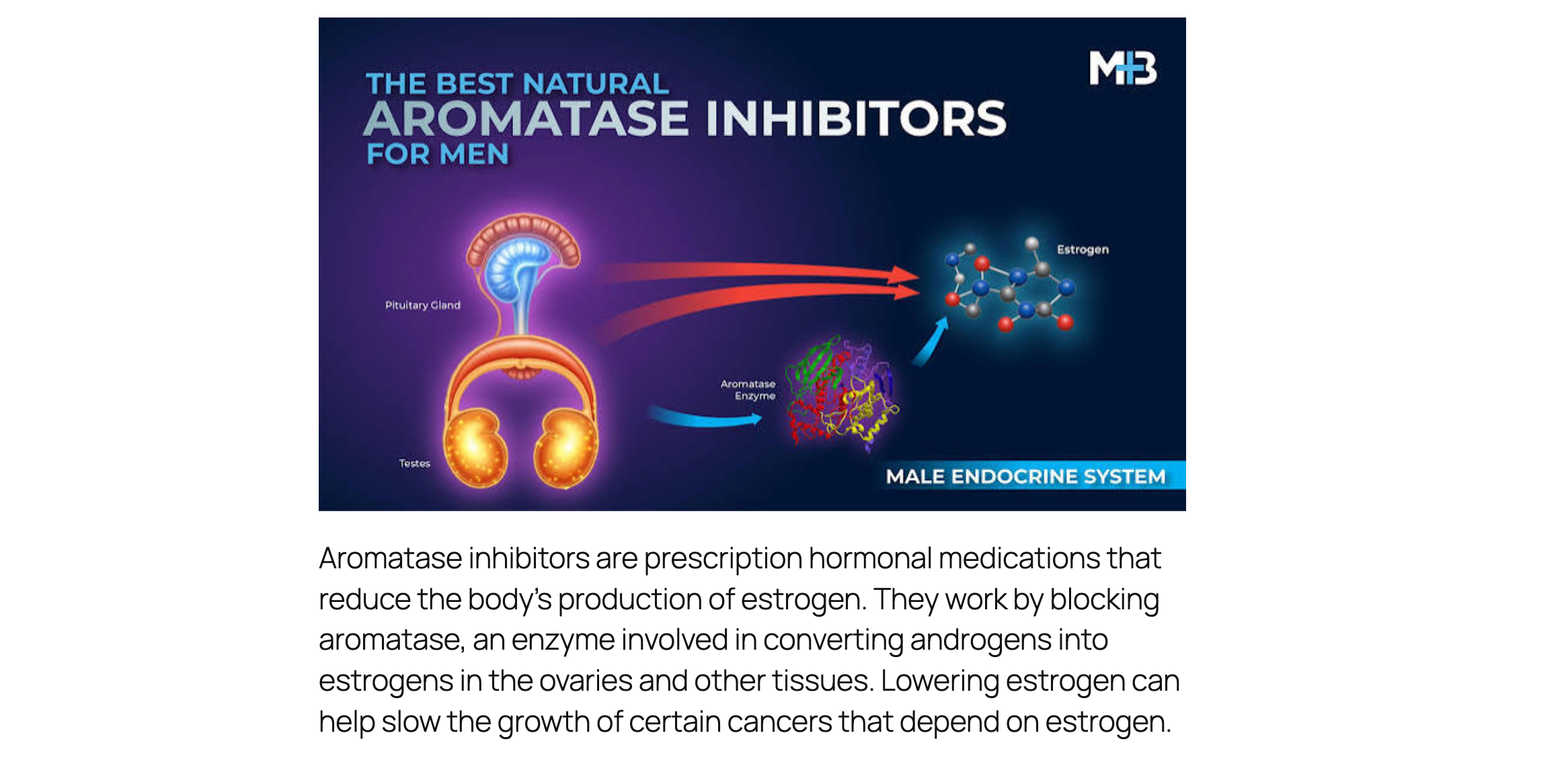 aromatase-inhibitors