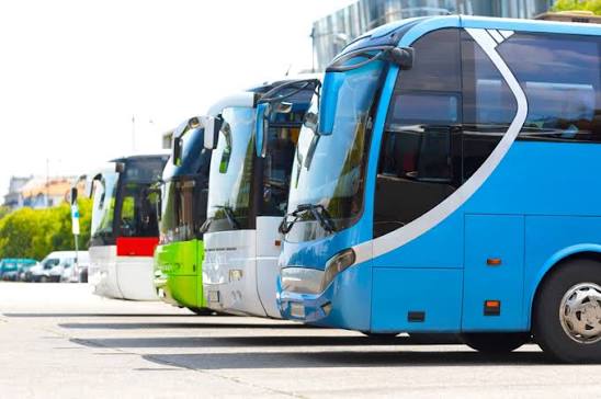 Do you usually prefer taking the bus or driving?