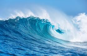 Dreaming of the Sea: Why Everyone Wants to Go to the Ocean