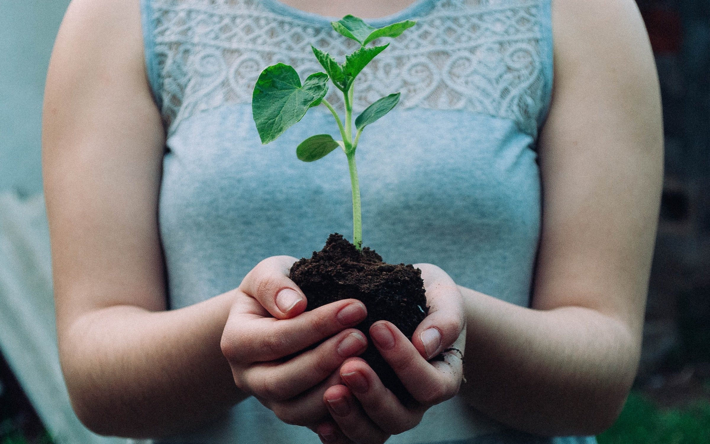 Maintaining a Thriving Garden: Essential Tips and Practices