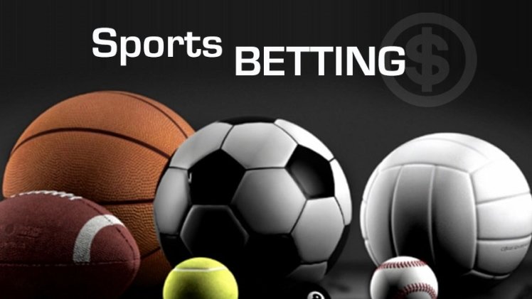 Sport-netting