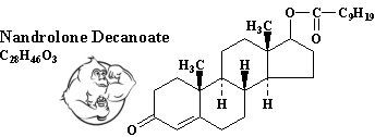 Fig 3. Deca Durabolin Chemical Structure