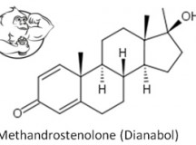 Boldenone weekly dosage