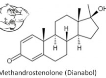 Proviron steroidology