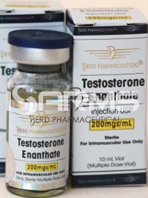 testosterone