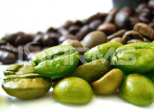 Green-coffee-bean-extract