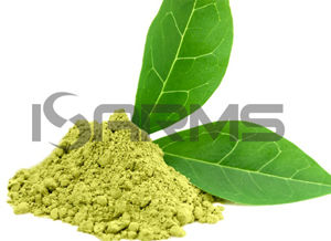 Green tea extract 