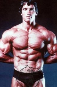 Trenbolone cycle pics