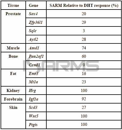 sarms-relative-to-dht-response-on-muscle-tissues-and-bones